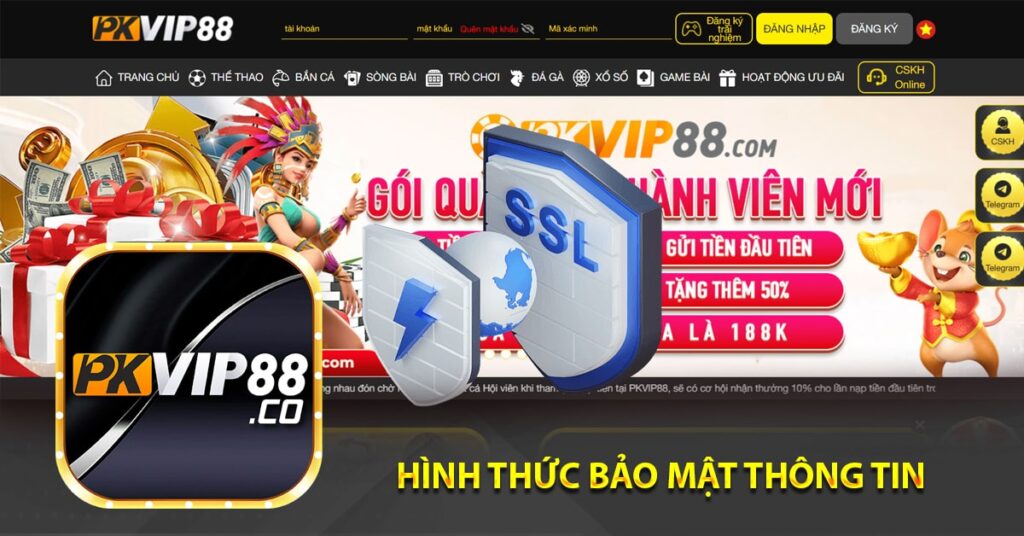 Hình thức bảo mật thông tin